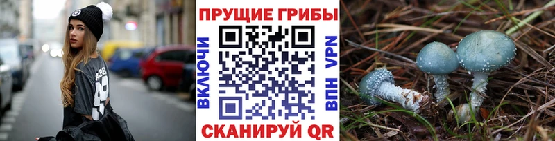 Псилоцибиновые грибы Psilocybe  купить  сайты  Верхний Уфалей 